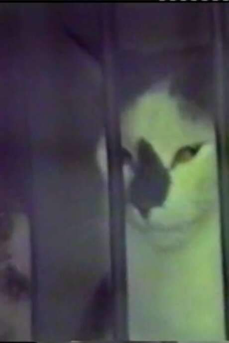 Rush - Voyage à Moscou